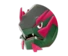 Basculegion