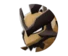 Kleavor