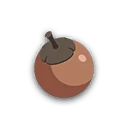 Apricorn