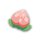 Pecha Berry
