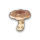 Springy Mushroom